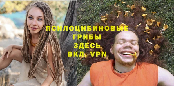 хмурый Богородск