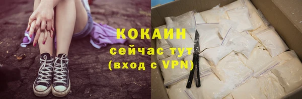 дмт Богородицк