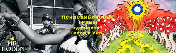 ешки Богданович
