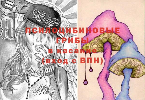 дмт Богородицк