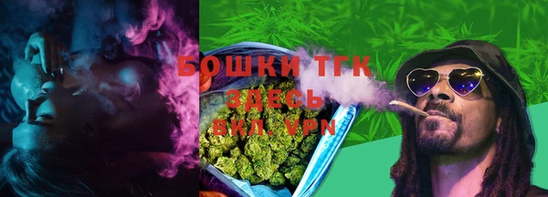 ешки Богданович