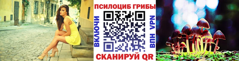 Псилоцибиновые грибы Cubensis  Мосальск 